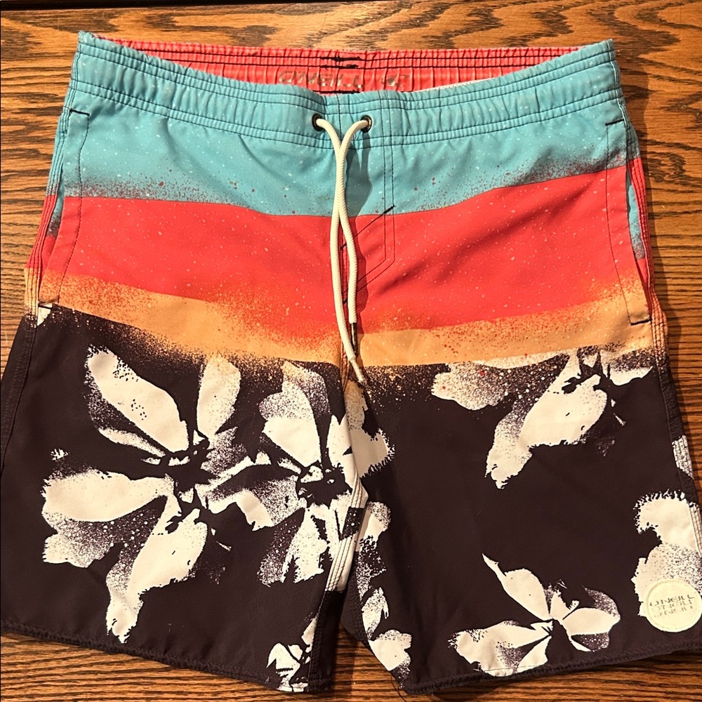 Men's Multicolor Swim Shorts